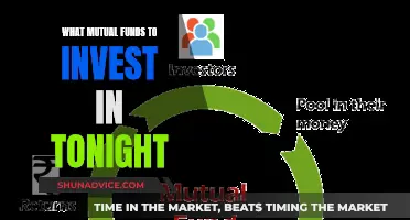 Mutual Funds: Best Investment Options for Tonight