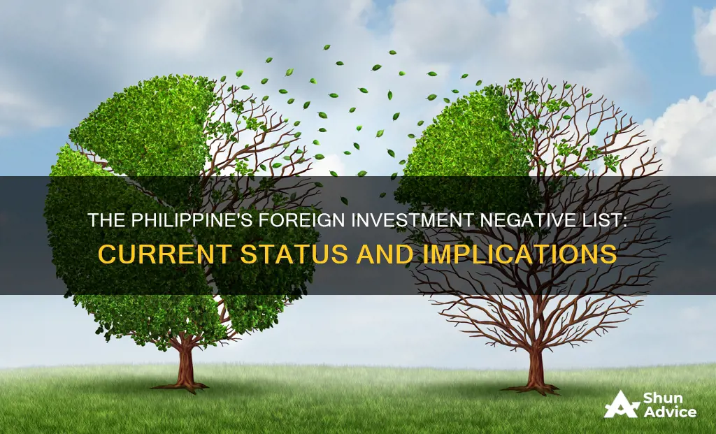 what number is the philippine foreign investment negative list now