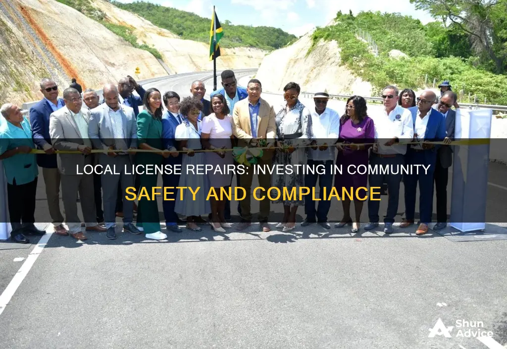 what of cash flows invested in repairing local license