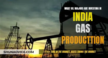 Oil Giants Eye India's Gas Production Potential