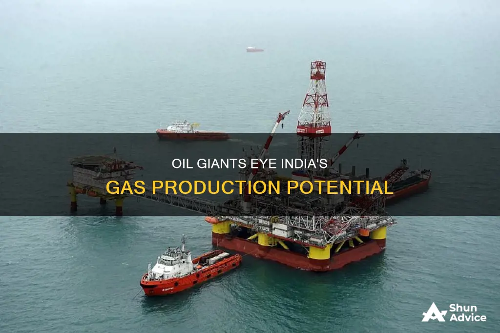 what oil majors are investing in india gas producttion