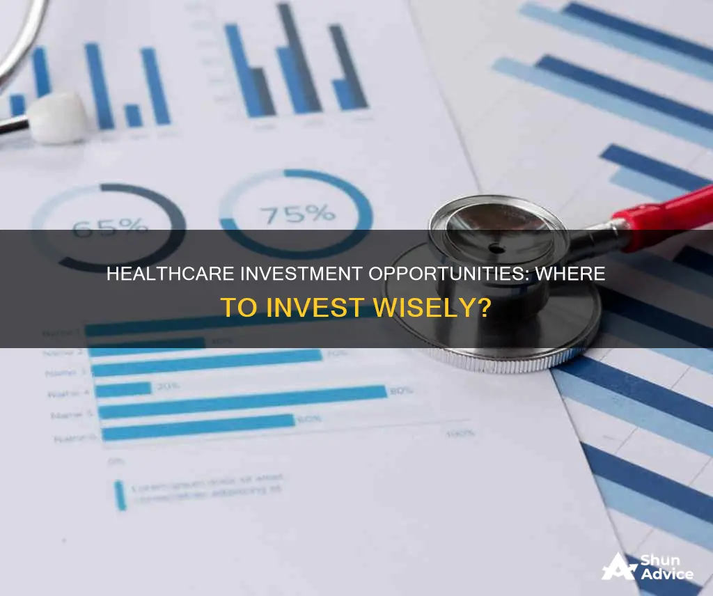 what opportunities would make for wise investments in healthcare