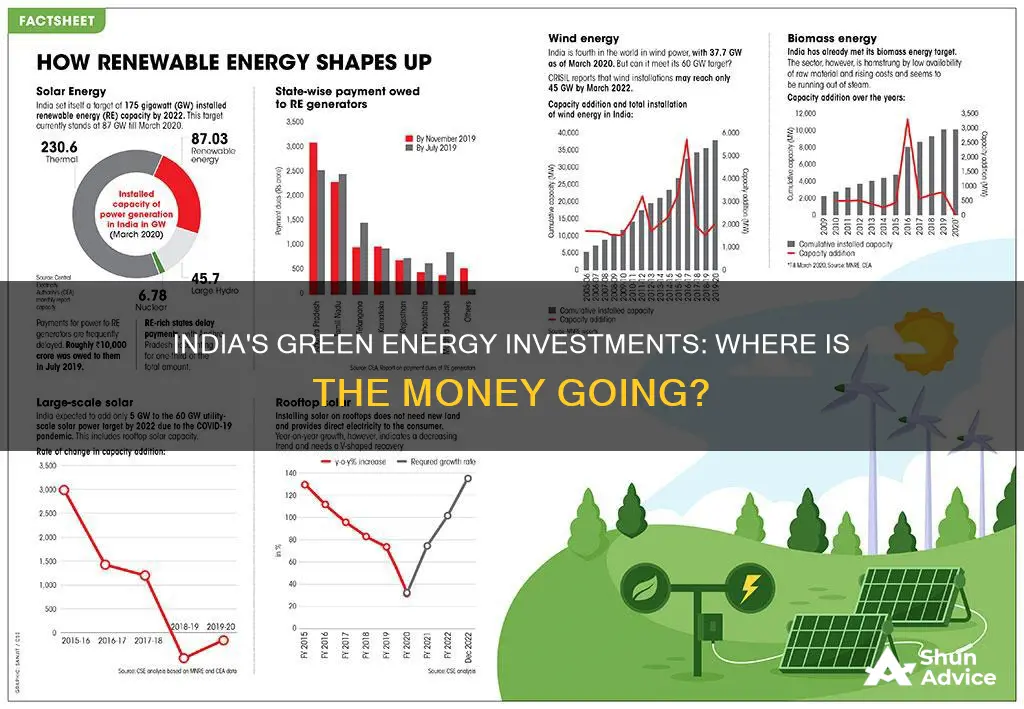 what organizations india government invest on renewable electricity