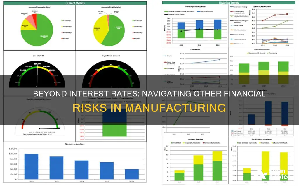 what other investment and financial risks are associated with manufacturing