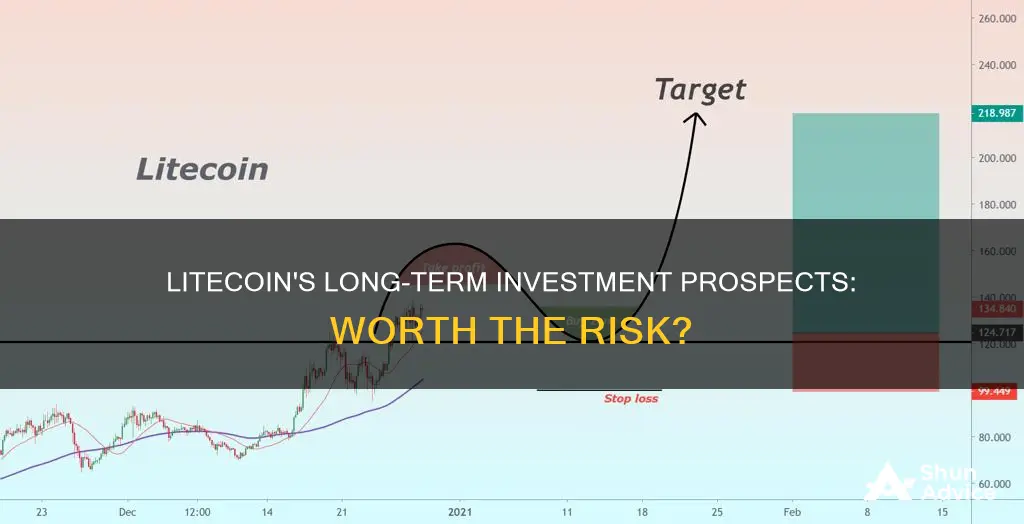 what people think of lite coin investment long term