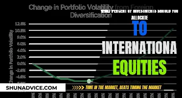 International Equities: How Much Should You Invest?