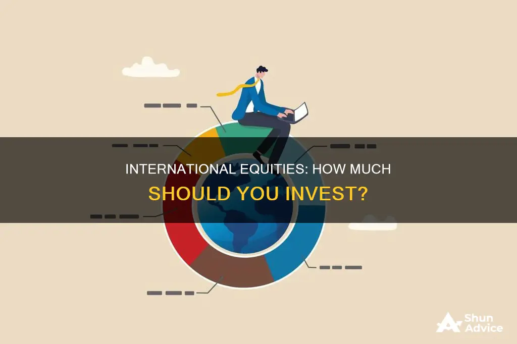 what percent of investments should you allocate to international equities