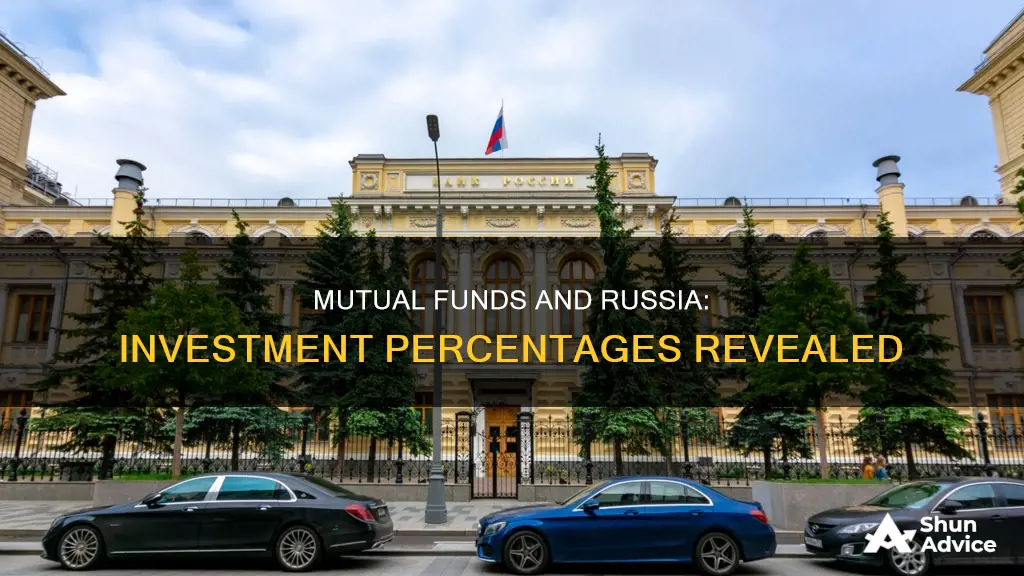 what percent of mutual funds invested in russia