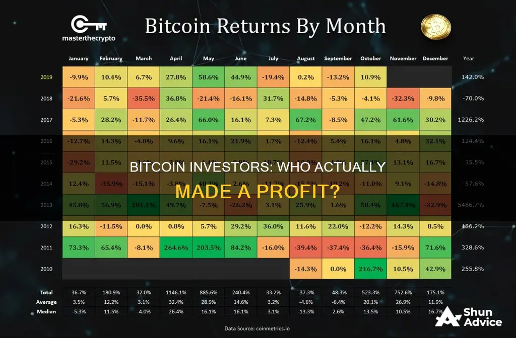 what percent of people who invested in bitcoin made money