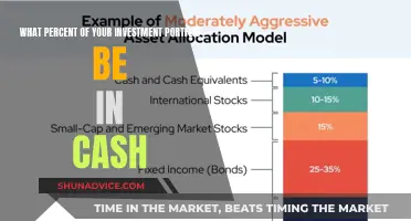 How Much Cash Should You Keep in Your Investment Portfolio?