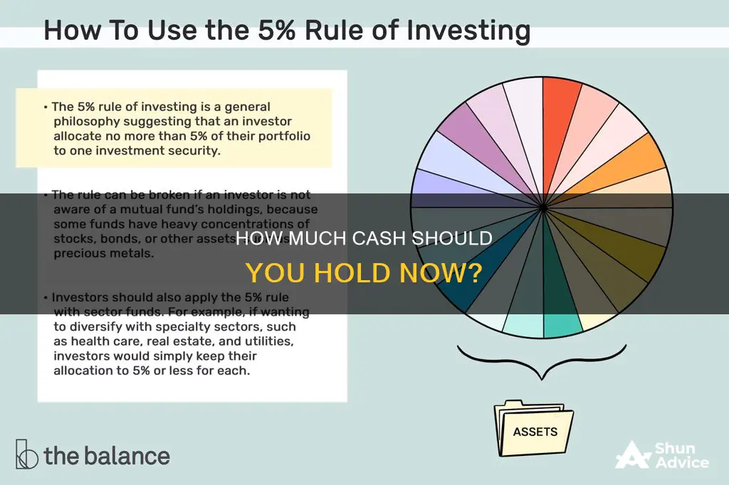 what percent should I have in cash investment now