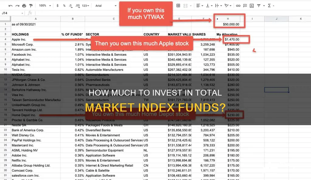 what percent to invest in total market index fund