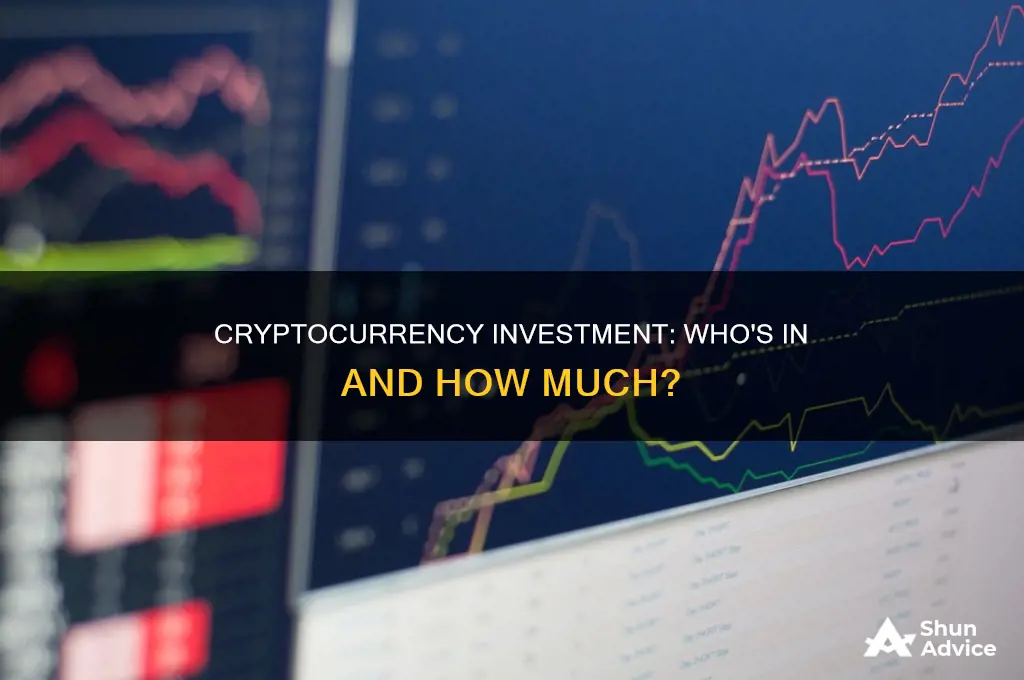 what percentage invest in cryptocurrency