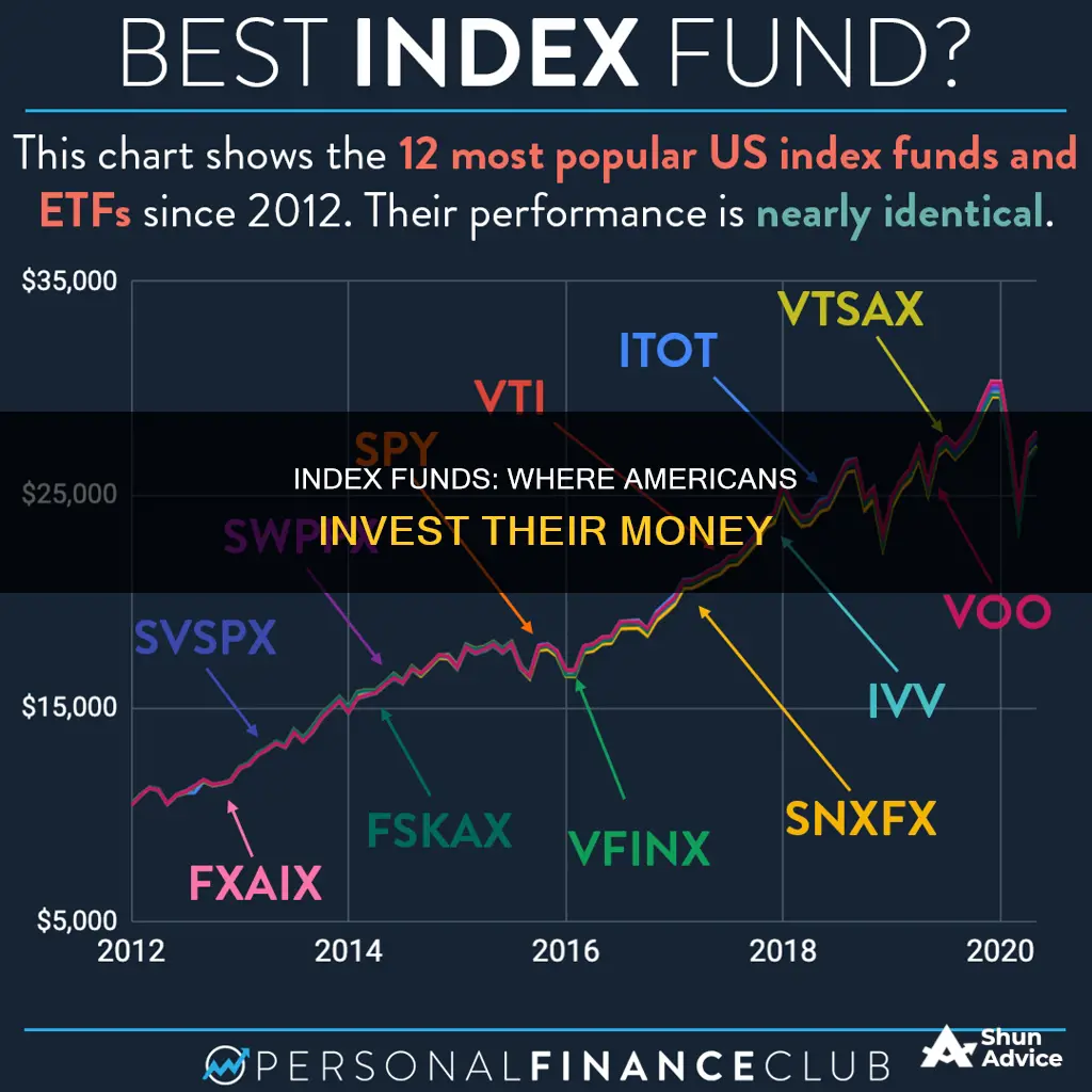 what percentage of american invest in index funds