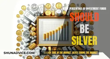 Silver Investment Strategies: How Much Should You Allocate?