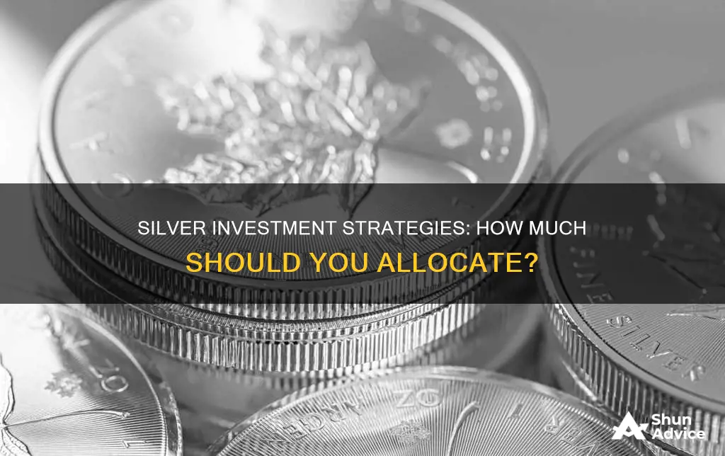 what percentage of investment funds should be silver