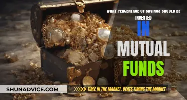 Savings Strategy: Mutual Funds Investment Allocation