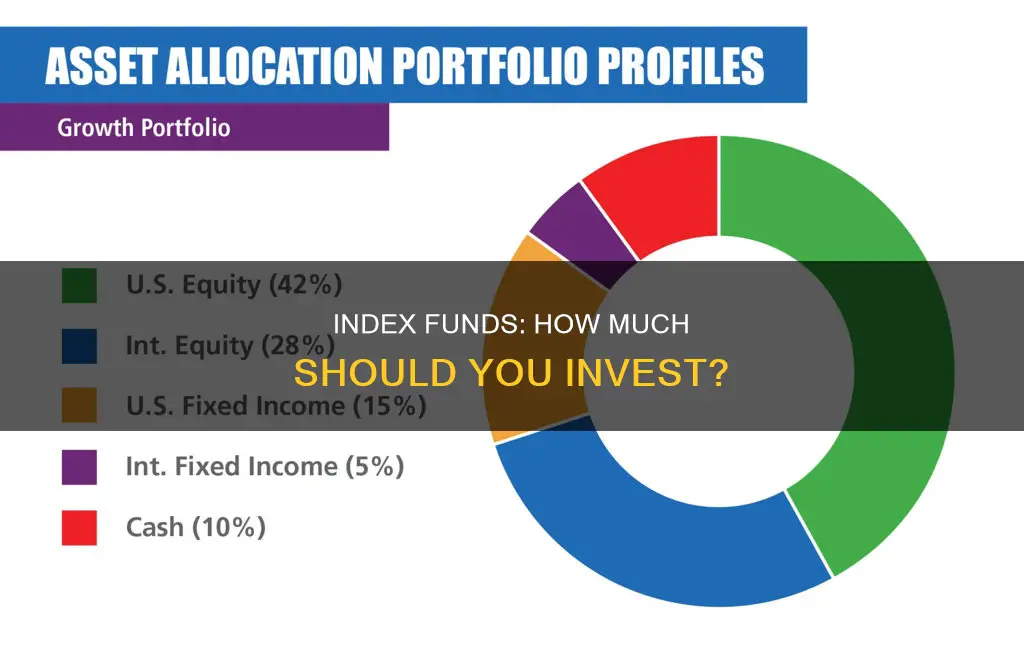 what percentage to invest in index funds of portfolio