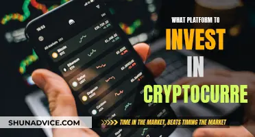 Best Platforms to Invest in Cryptocurrency Safely