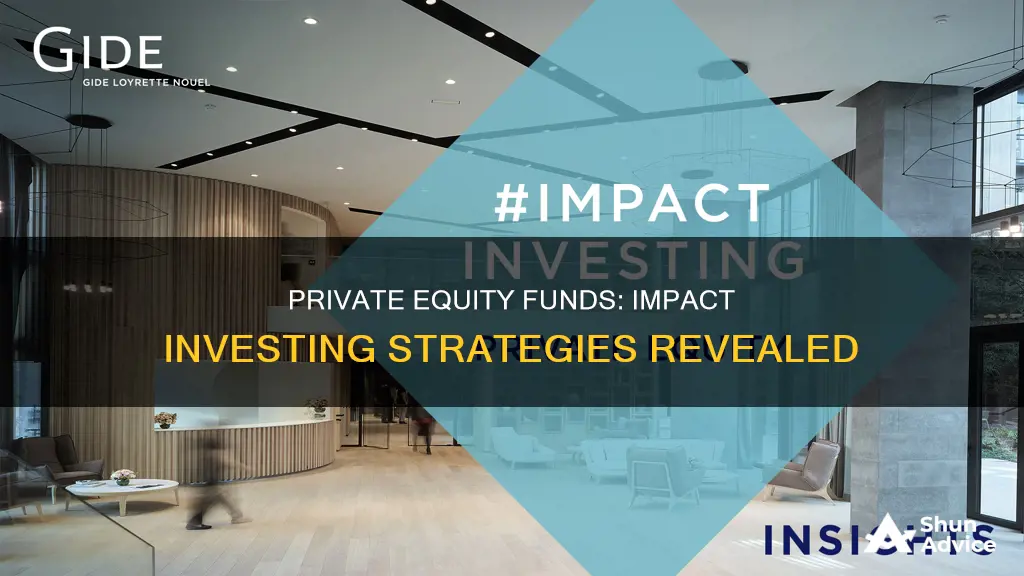 what private equity funds are investing in impact