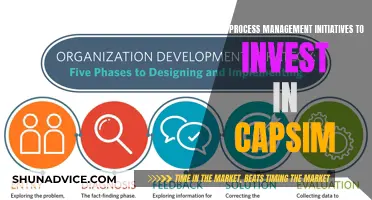 Capsim Process Management: Strategic Investment Initiatives for Success