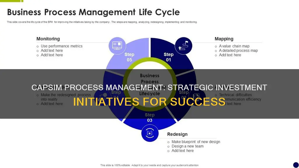 what process management initiatives to invest in capsim