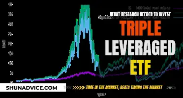 Triple-Leveraged ETF: Research for Smart Investing