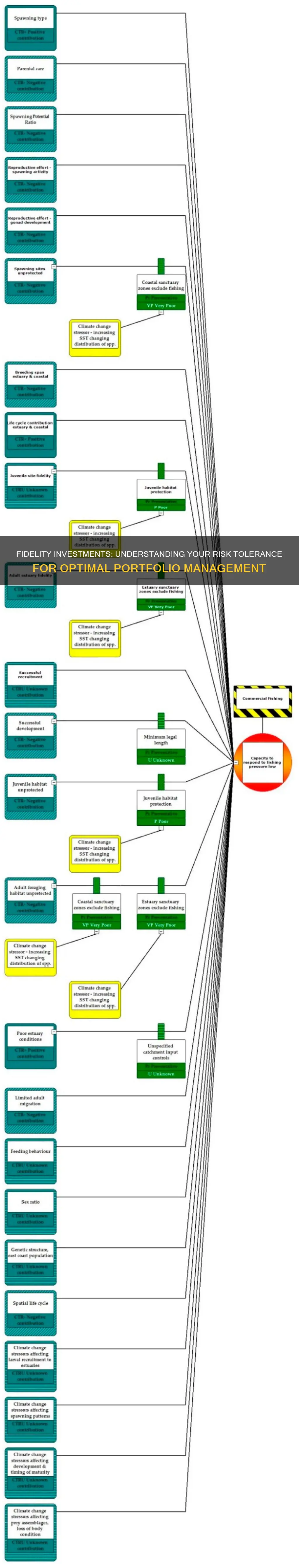 what risk tolerance should I have for fidelity investments