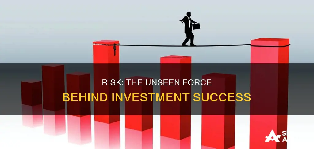 what role does risk play in investment