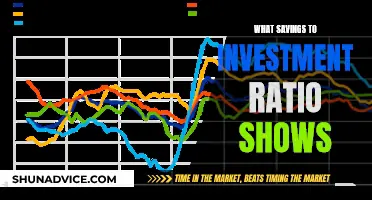 Savings-to-Investment Ratio: A Window to Your Financial Health