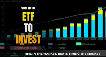 Best Sector ETFs to Invest in Now