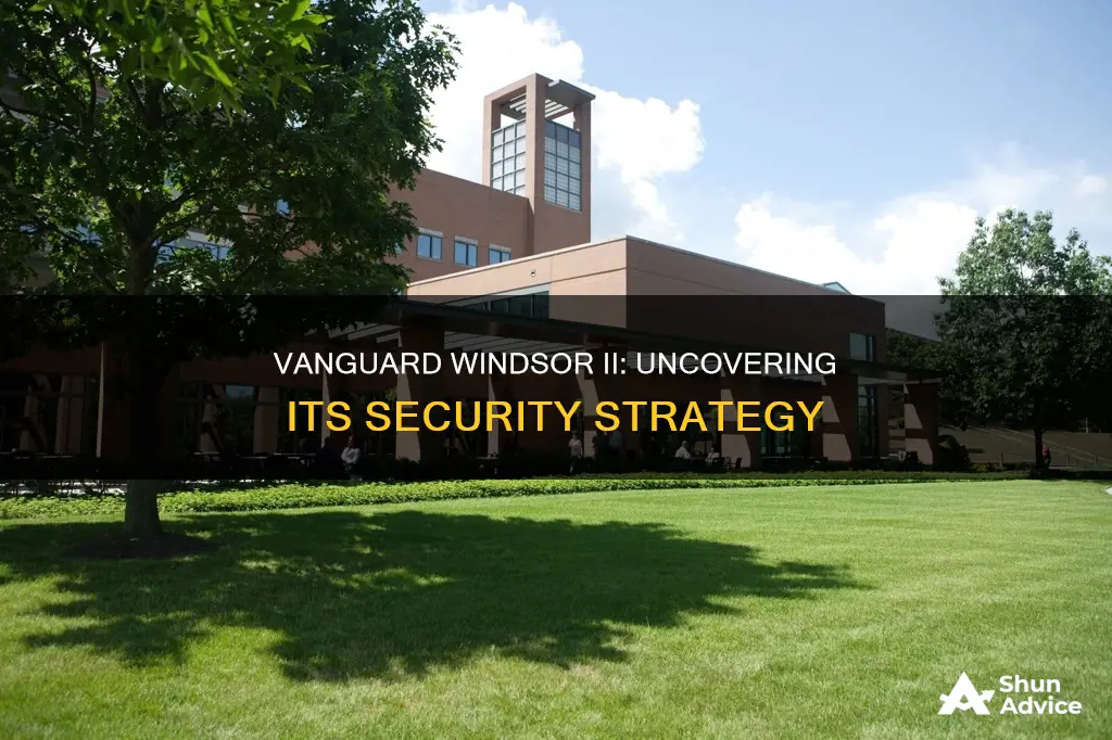 what securities does the vanguard windsor ii fund invest in