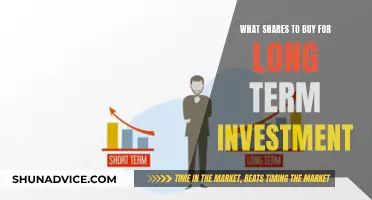 Unleash Your Wealth: Top Stocks for Long-Term Investment Success