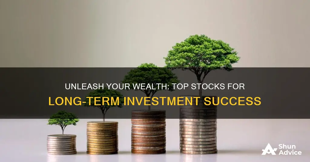 what shares to buy for long term investment