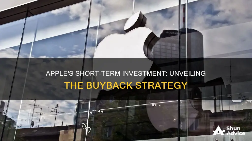 what short term investment did apple make buy back