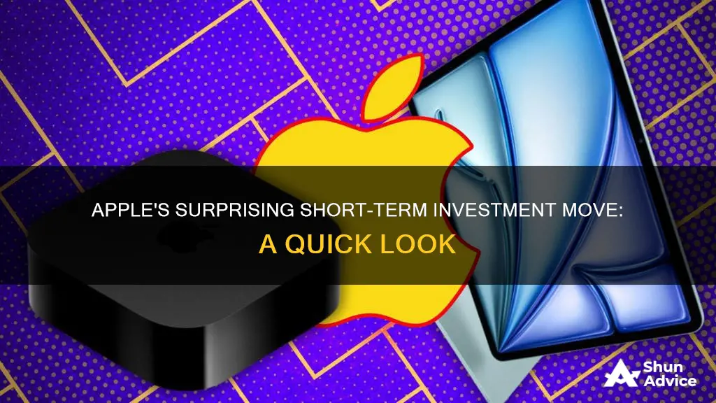 what short term investment did apple make