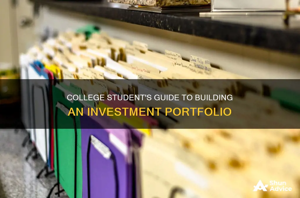 what should a college students investment portfolio look like