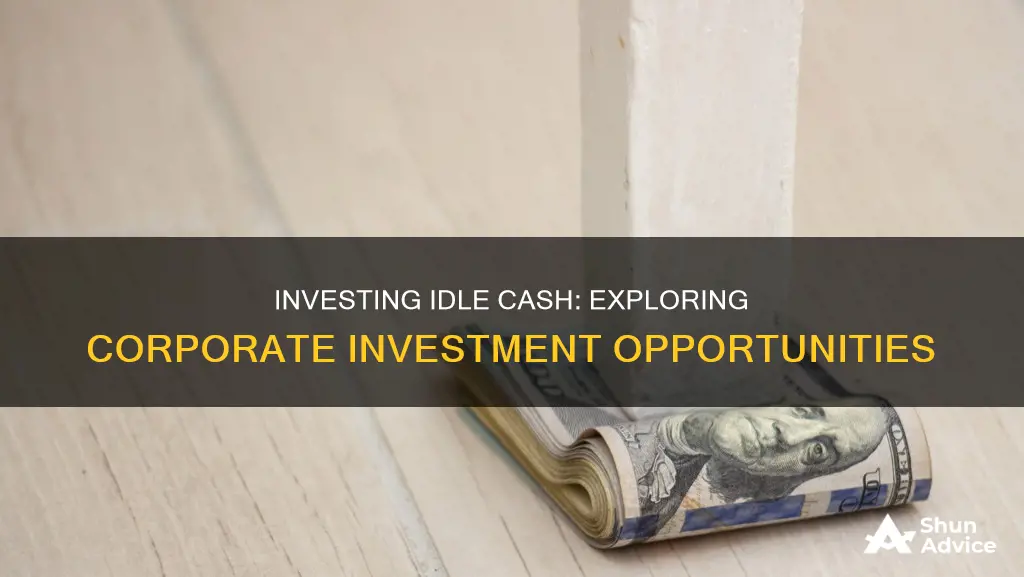 what should corporations invest idle cash into