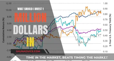 Maximizing Your Million: Smart Investment Strategies Revealed