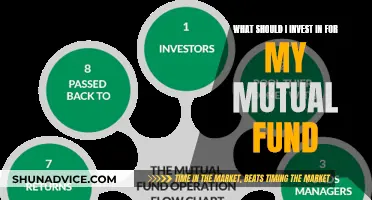 Mutual Fund Investment Strategies: Where to Invest?