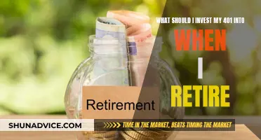 Retirement Investment Strategies: Navigating Your 401(k) Options