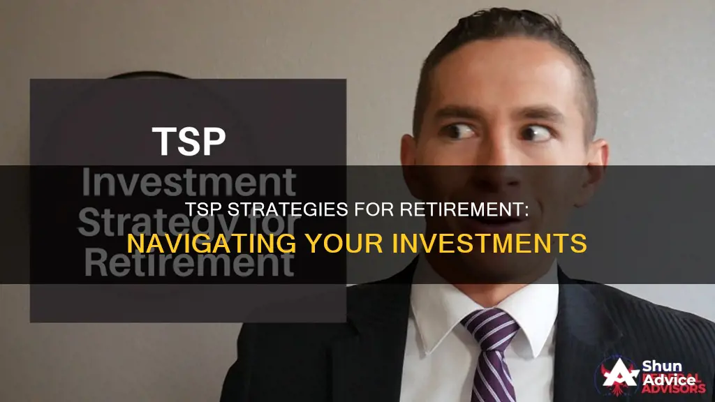 what should your tsp investments be in retirement