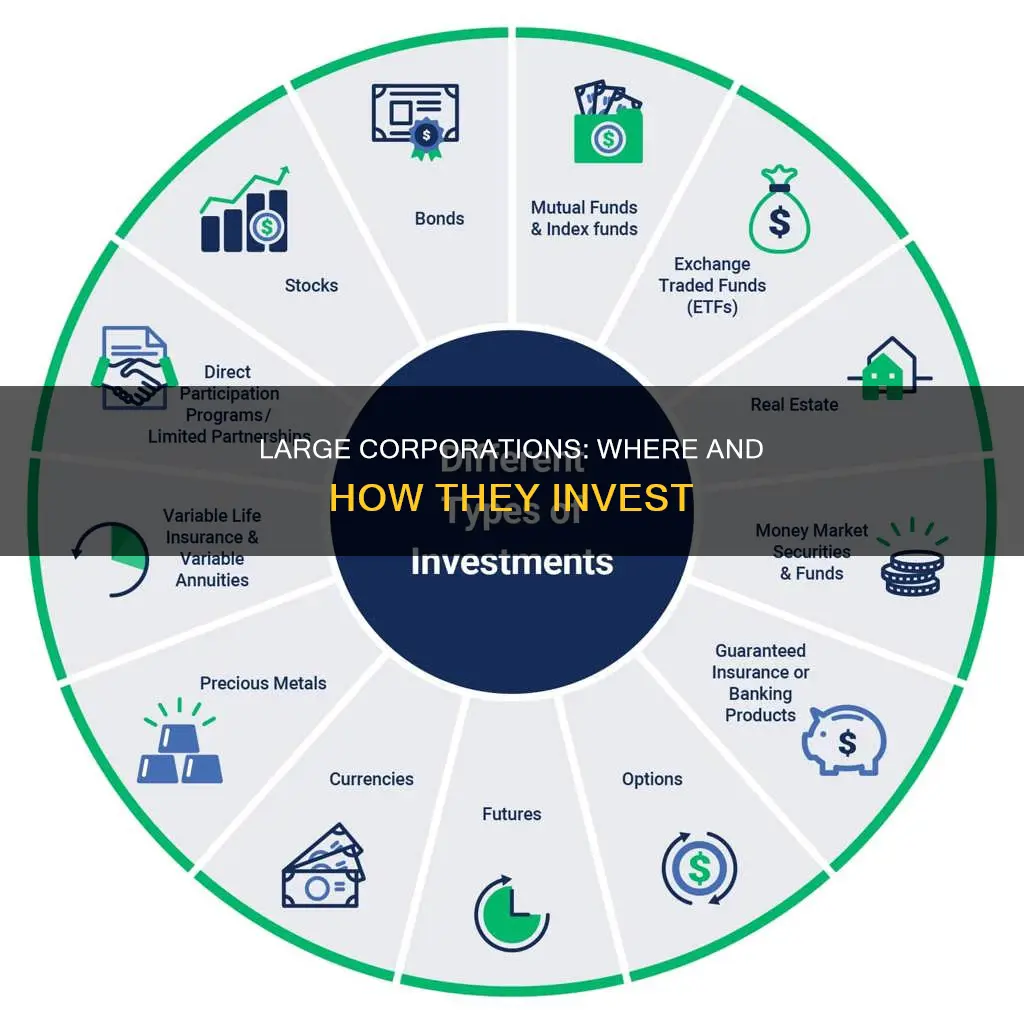 what sort of investments do large corporations make