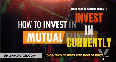 Mutual Fund Investment: Current Smart Choices