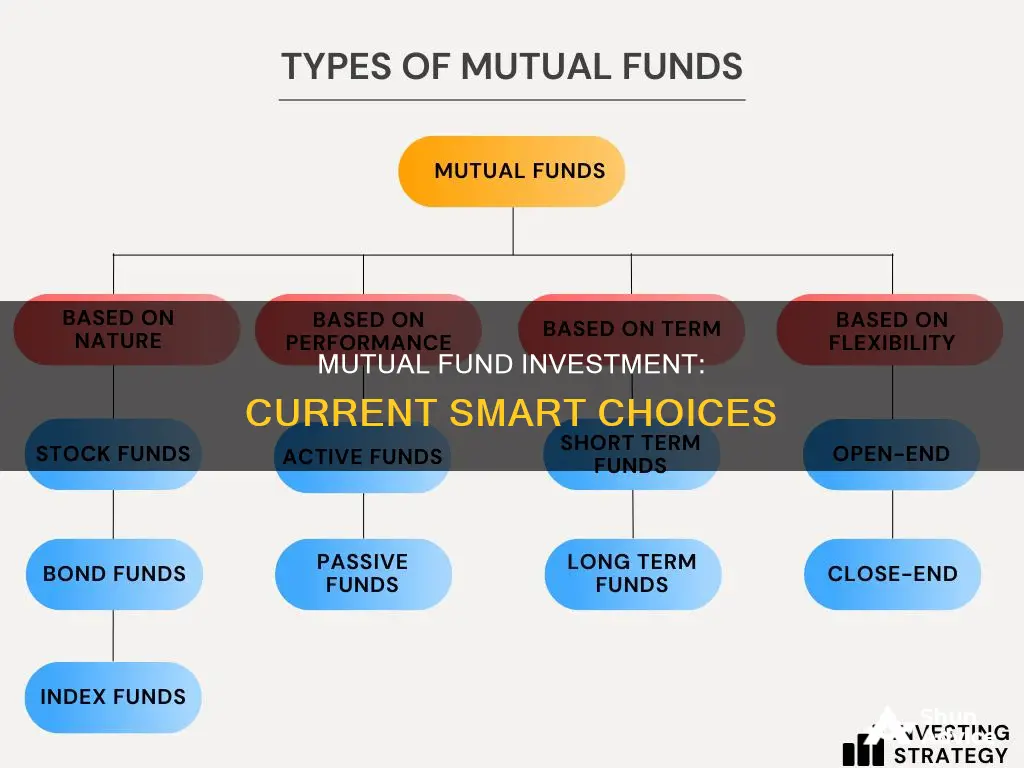 what sort of mutual funds to invest in currently