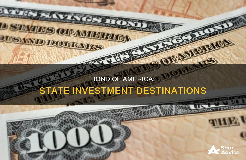 what states are bond of america funds invested in