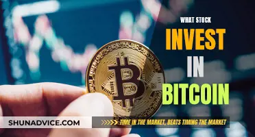 The Best Stocks to Invest in Bitcoin