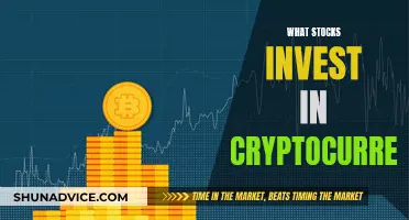 Investing in Cryptocurrency: Stock Options for Beginners