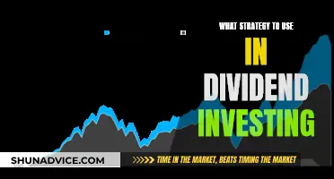 Dividend Investing: Strategies for Long-Term Success