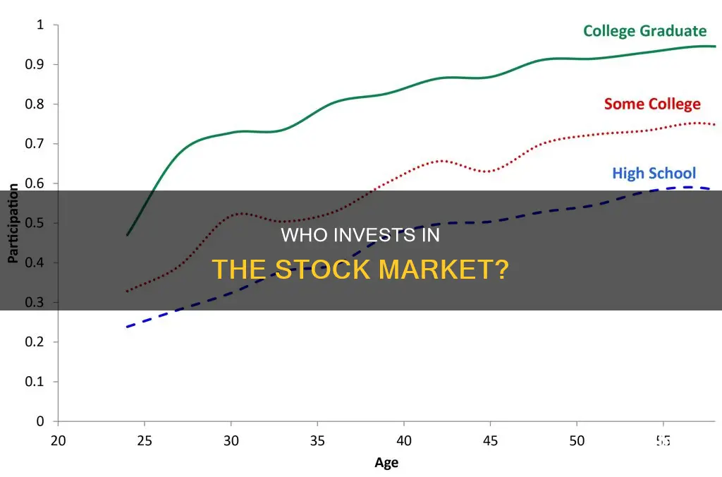 what the percentage of people invest in stocmarket